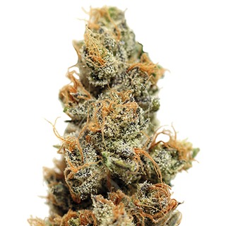 Pineapple Chunk Pineapple Chunk