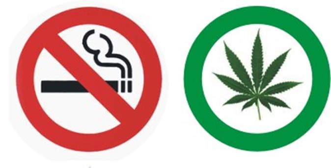 Legalidad de la Marihuana Legalidad de la Marihuana