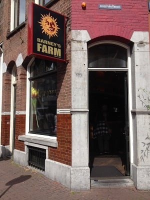 Barney's Farm Barney's Farm