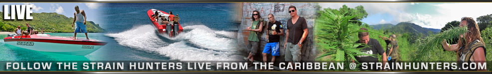 Green House Green House