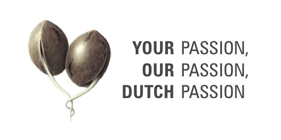 Dutch Passion Dutch Passion