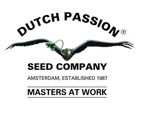 Dutch Passion Dutch Passion