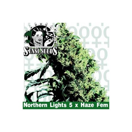 Sensi Seeds Sensi Seeds