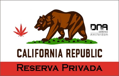 Dana Genetics Dana Genetics