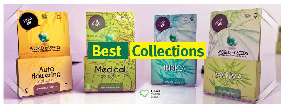 World of seeds World of seeds