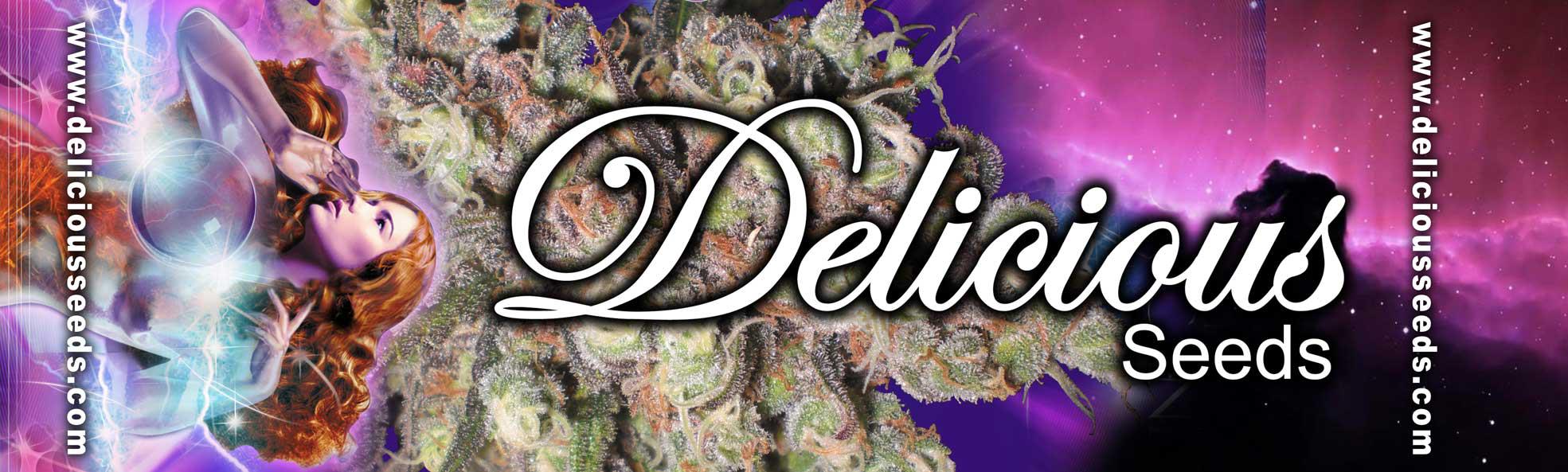 Delicious Seeds Delicious Seeds