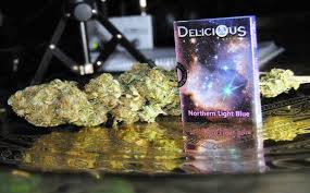 Delicious Seeds Delicious Seeds