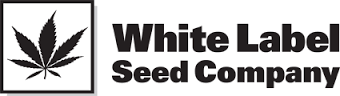 White Label Seeds White Label Seeds