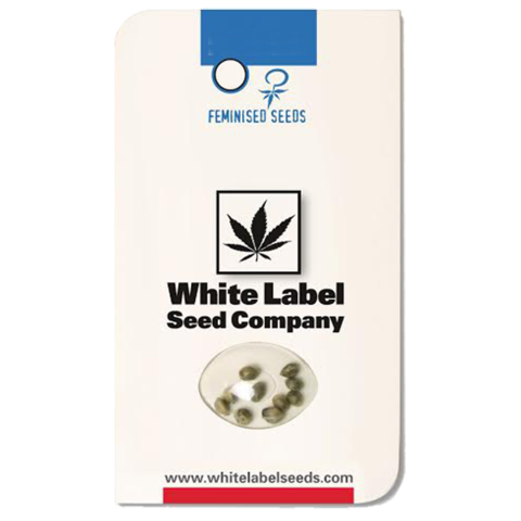 White Label Seeds White Label Seeds
