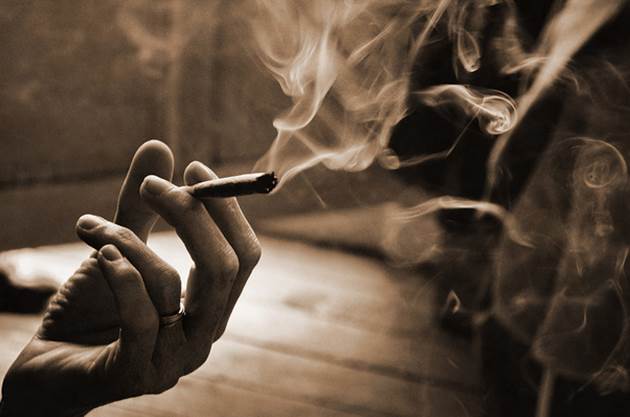 Cannabis Inspiration Cannabis Inspiration