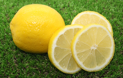 Limoneno Limoneno
