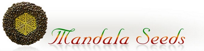 Mandala Seeds Mandala Seeds