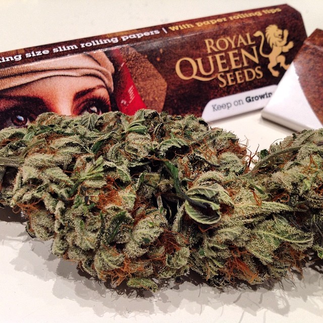 RQS Organic Rolling Papers - Royal Queen Seeds