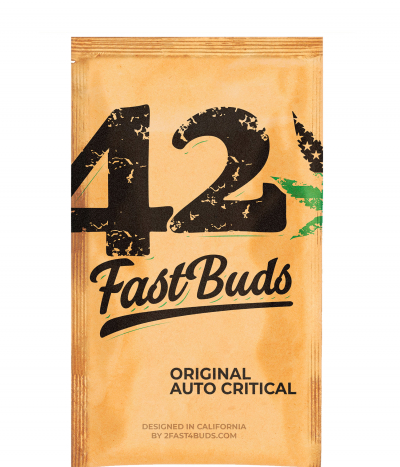 Original Auto Critical