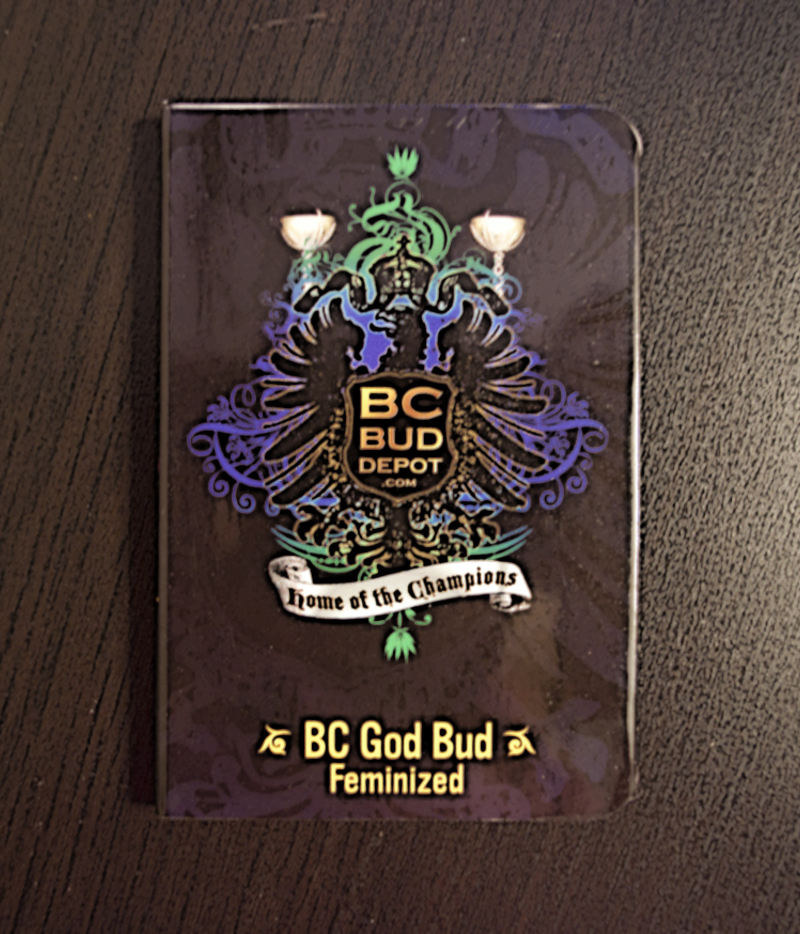 BC Bud Depot | BC God Bud (FEM) Seeds | Green Parrot