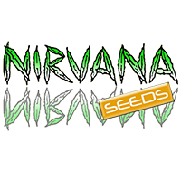 Nirvana