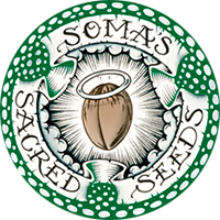 Somas