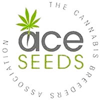 Ace_seed
