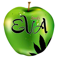 Eva_deeds_blanco