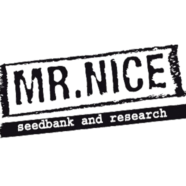 Mrnice-1