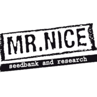 Mr Nice