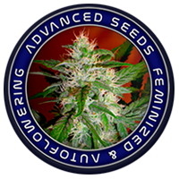 Advanced_seeds