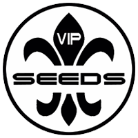Vip_seeds