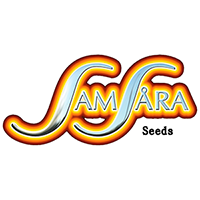 Samsara