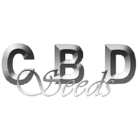 CBD Seeds