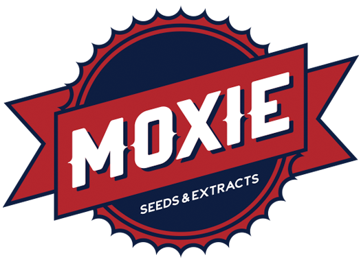 Moxie_seeds_europe