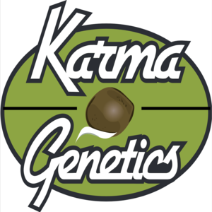 Karma_genetics