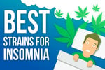 Лучшие сорта от бессонницы