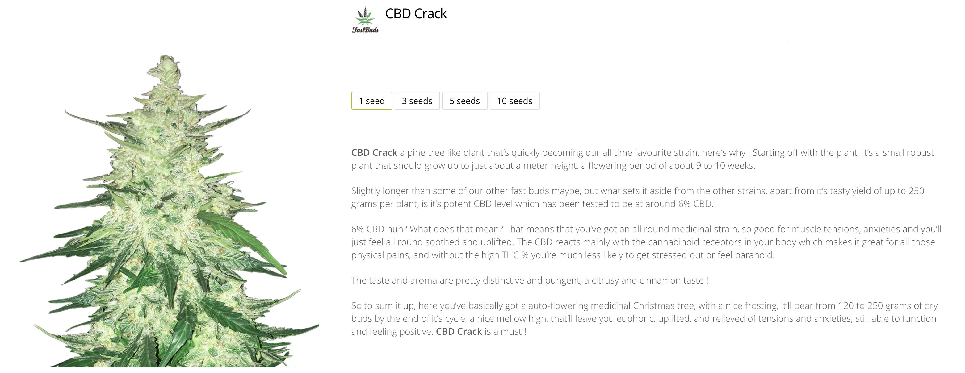 cbd crack fast buds