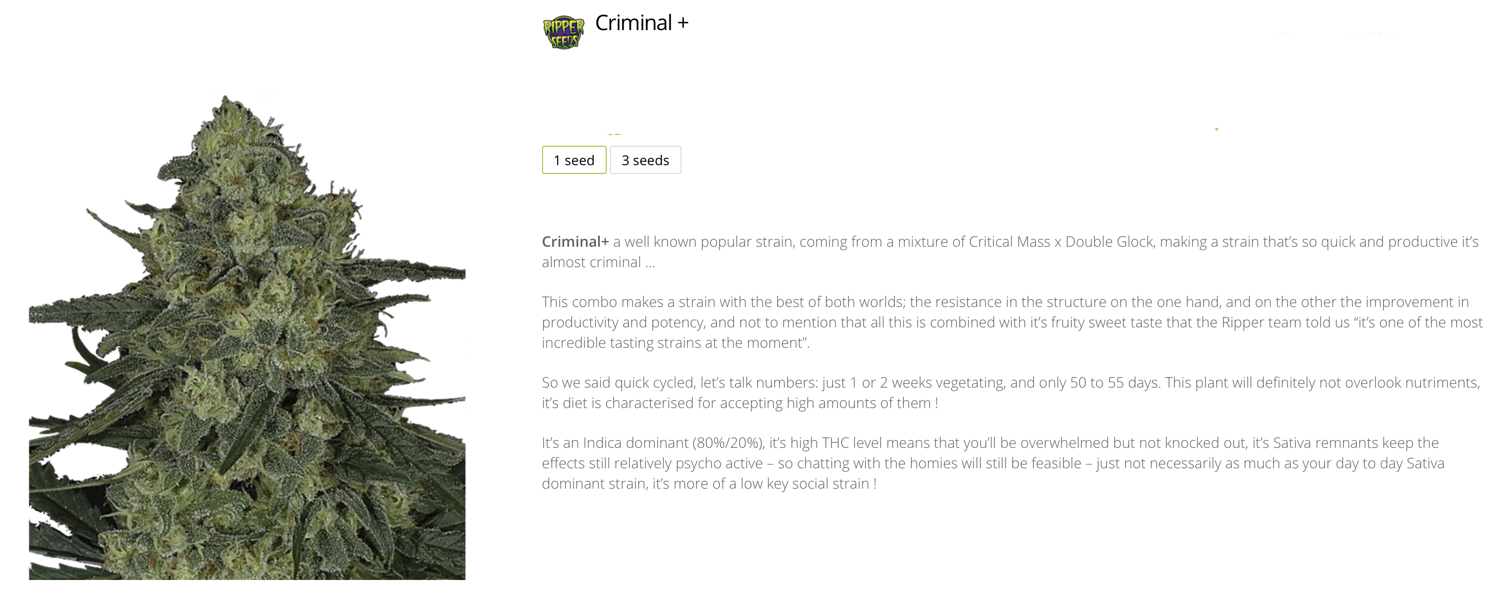 criminal+ ripper seeds