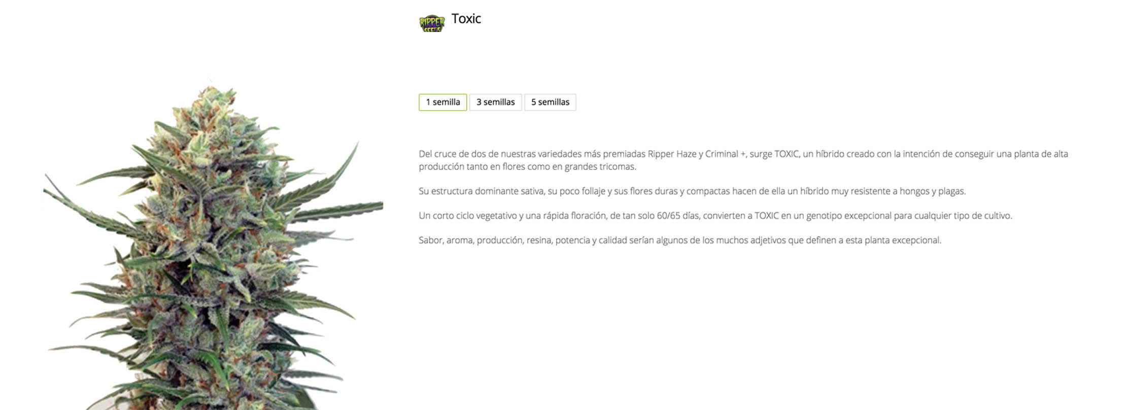 Toxic de Ripper Seeds