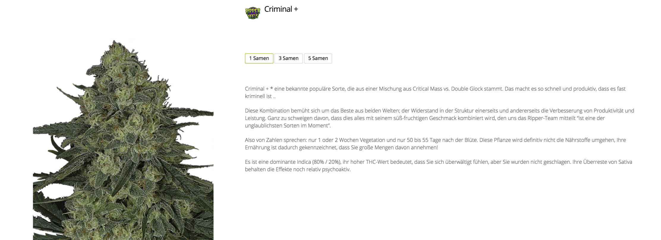 Criminal+ von Ripper Seeds