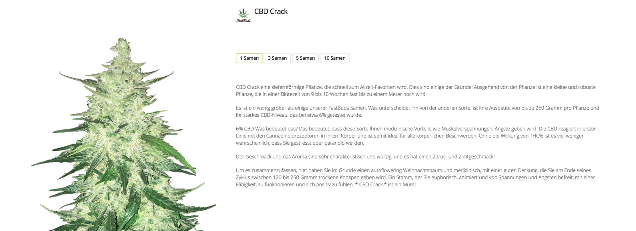 Cbd Crack von Fastbuds