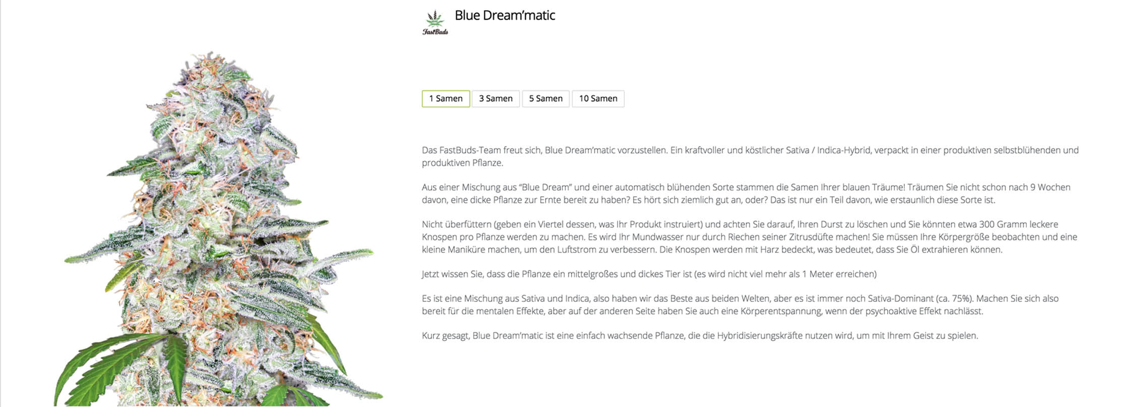 Bluematic von Fastbuds