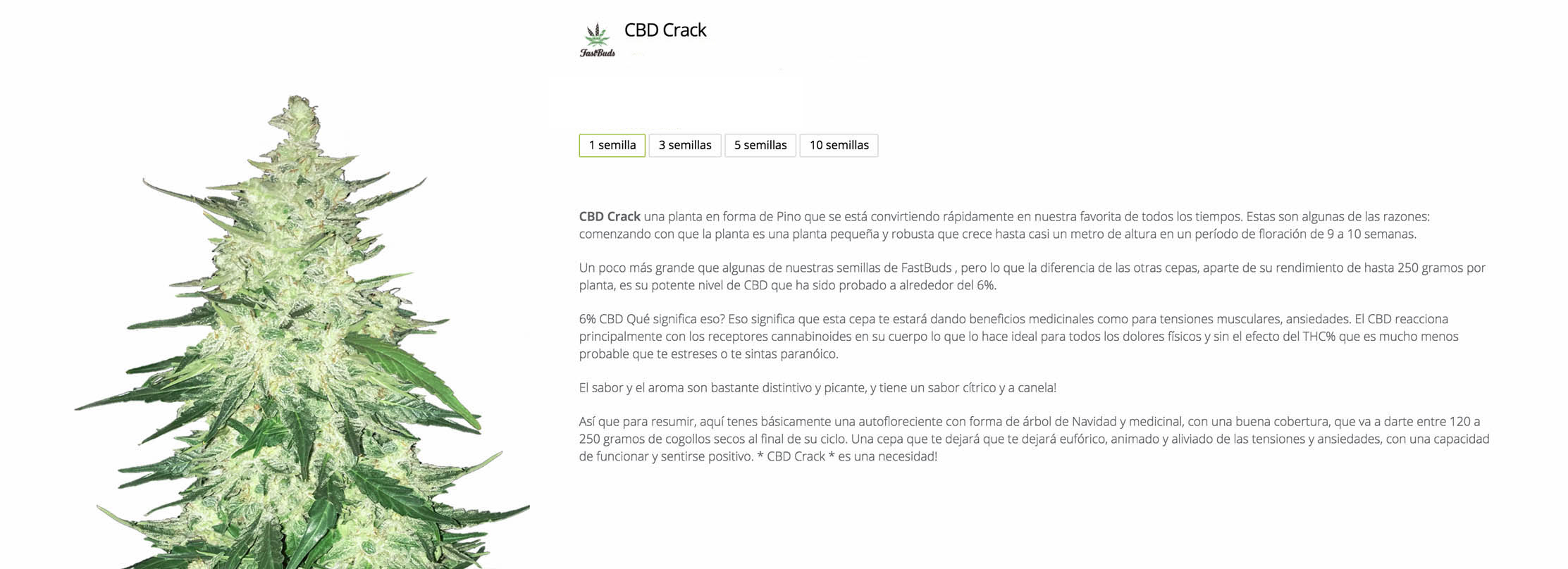 Cbd Crack de Fatsbuds
