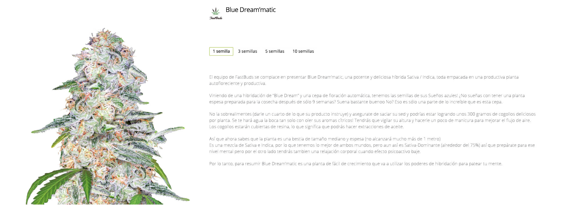 Blue Dream´matic de Fastbuds