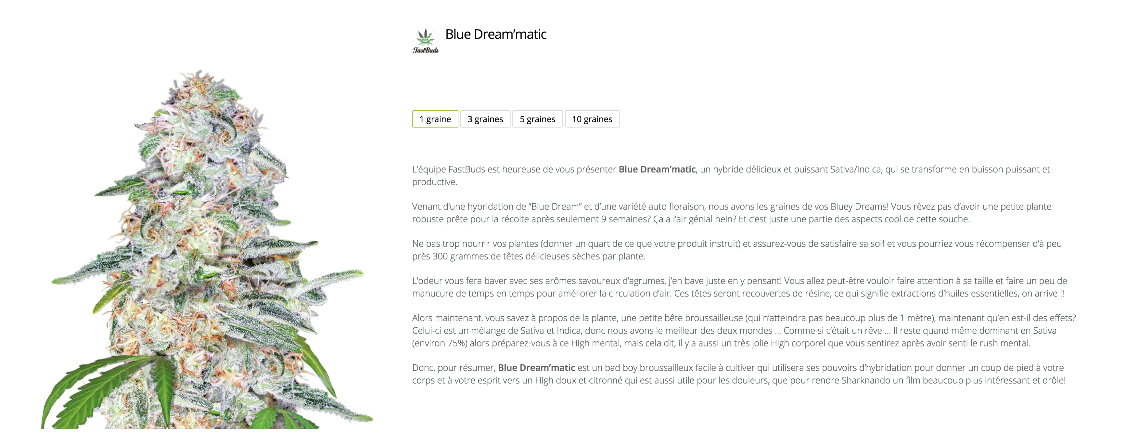 Blue Dream'matic FastBuds