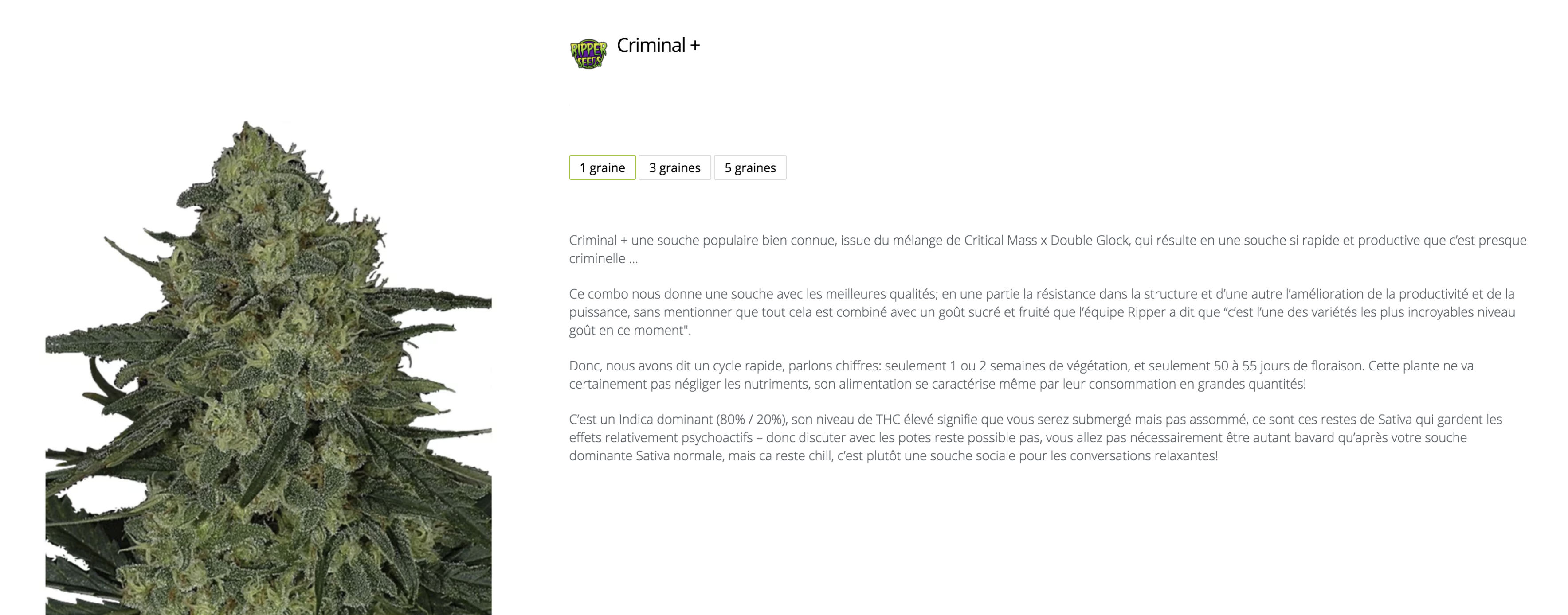 criminal ripper seeds