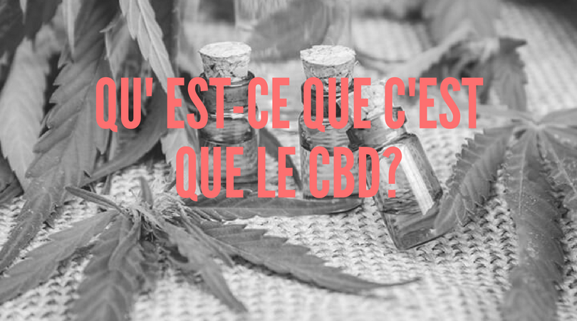 QU' EST-CE QUE C'EST QUE LE CBD?