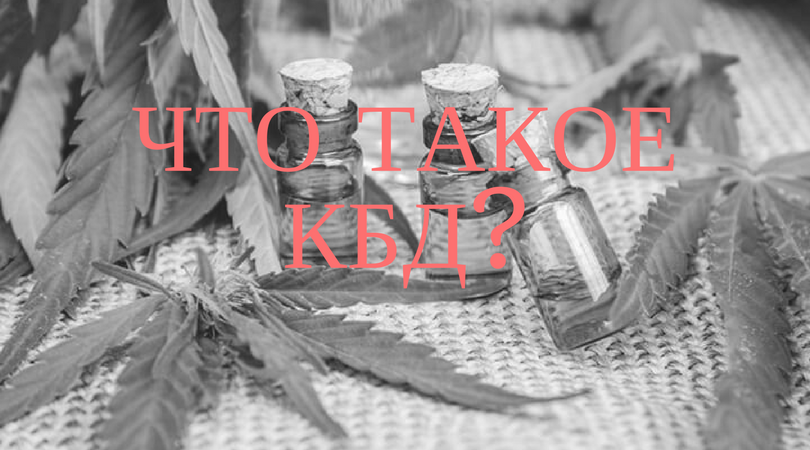 что такое кбд