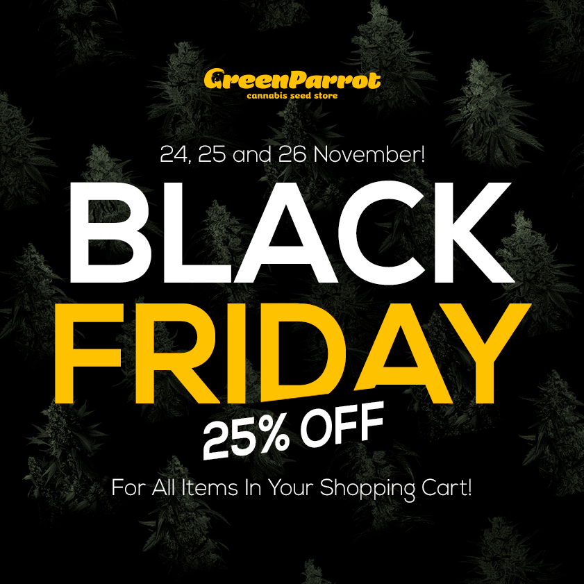 Black Friday in Green Parrot Seeds