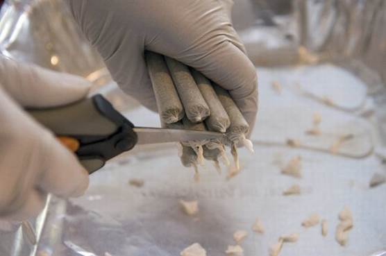 Confiscar Marihuana Confiscar Marihuana