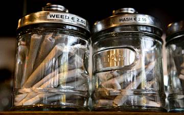 Cannabis en Holanda Cannabis en Holanda