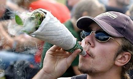 LEGALIDAD DE LA MARIHUANA LEGALIDAD DE LA MARIHUANA