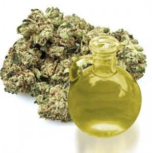 Ungüentos de la Marihuana Ungüentos de la Marihuana