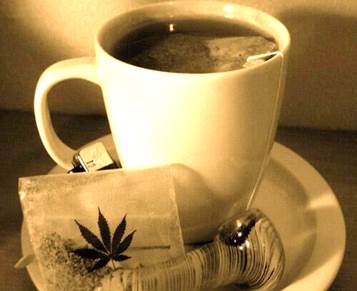 Marihuana Medicinal Marihuana Medicinal